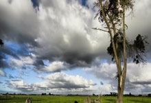 What makes this story unforgettable?