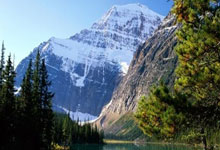 The CEO’s Substitute Wife