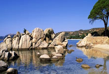 A Night of Passion​